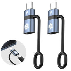 HAING HI-2031-CID Type-C To Lightning Female Adapter