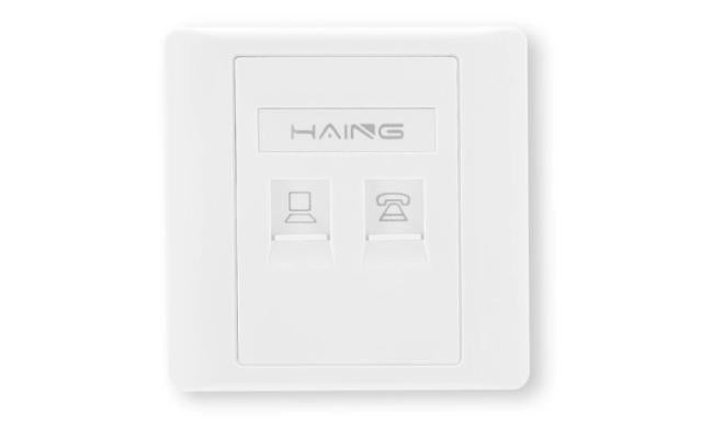 Haing Hi WP01 RJ45 Dual Port Faceplate 8.6x8.6cm with Pp Bag with wired with networking