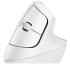 Logitech Lift Vertical Ergonomic Advanced Optical Wireless (Off white) Mouse (2.4GHz & Bluetooth Connection) Quiet Clicks 6 Buttons
