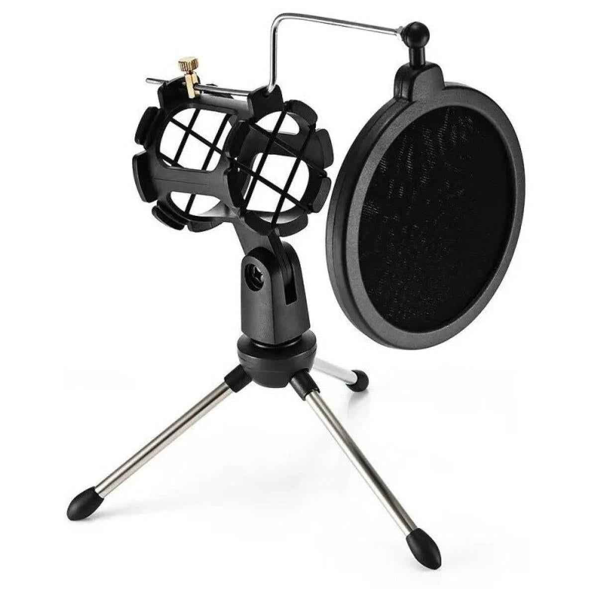 microphone for audio recording
