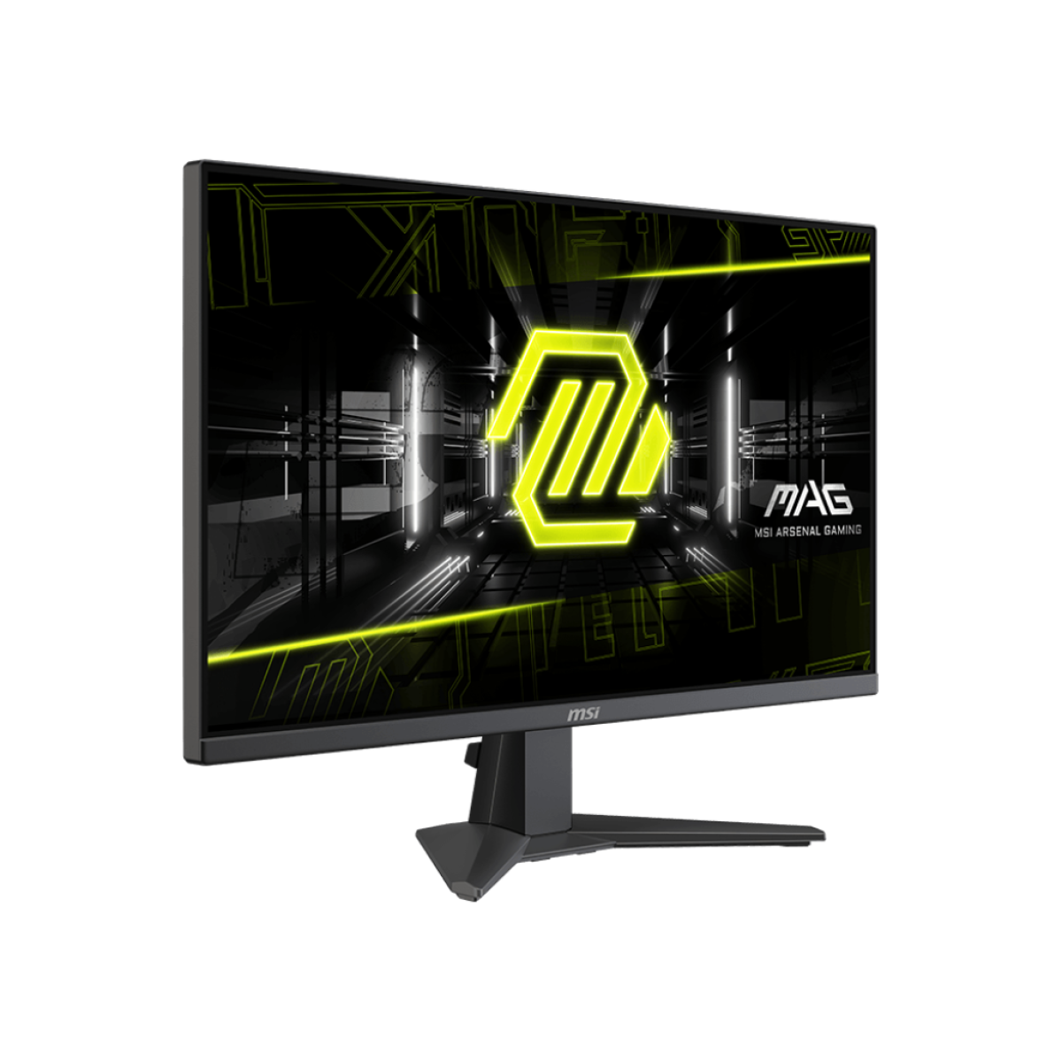 MSI monitor for display setup