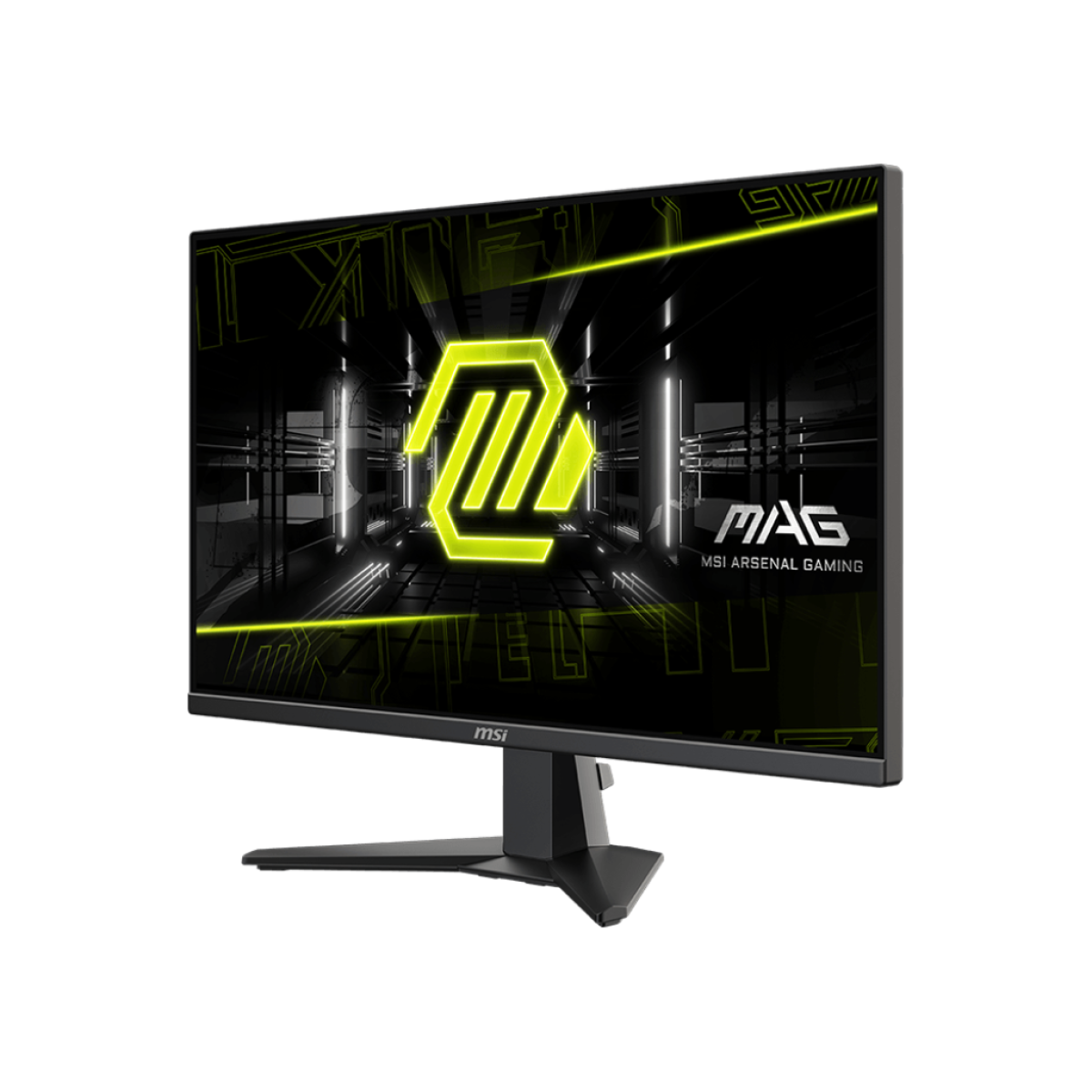 MSI monitor for display setup