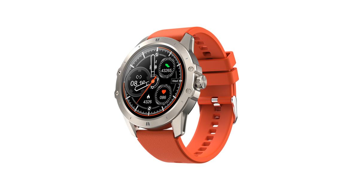 VIKUSHA Watch Noble2 VIKUSHA Watch Noble2