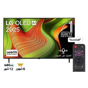 inch LG OLED AI B5 4K 120Hz Smart TV AI Magic remote webOS25 2025 (55)