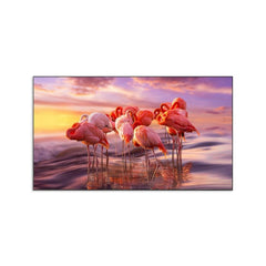 DR QA65Q70BAUXT 65-Inch 4K QLED Television