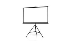 Tripod Projector Screen (210cmx150cm)