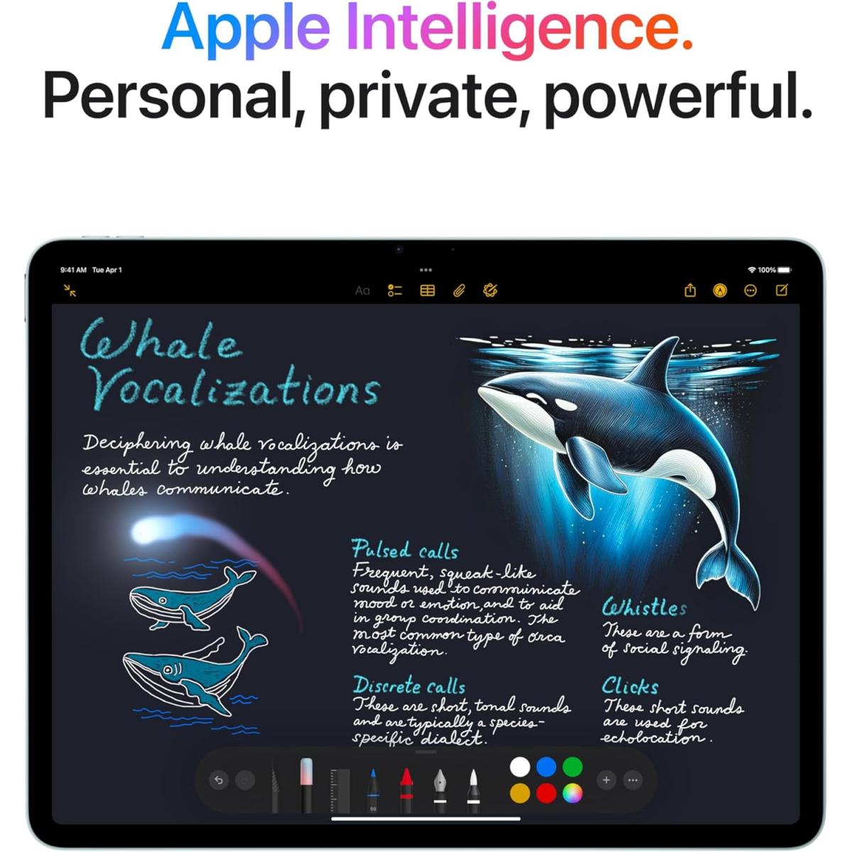 Apple Wi - Fi tablet for portable computing