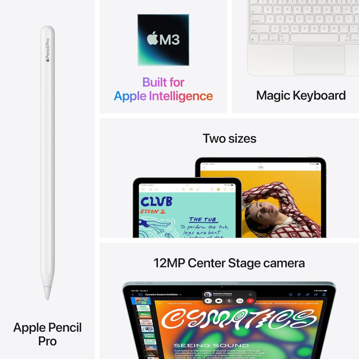 Apple Wi - Fi tablet for portable computing