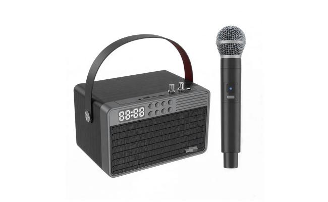 Leerfei Spk E 4113 Fm Tf Card/u Disk/aux Bluetooth Speaker with Mic