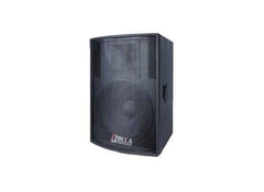 20 inch Outdoor Waterproof Speaker 200W