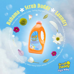 Scrub Daddy Bahama Bloom Laundry Detergent 2L