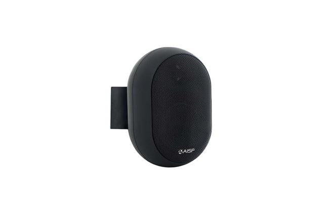 Aisp speaker for audio playback