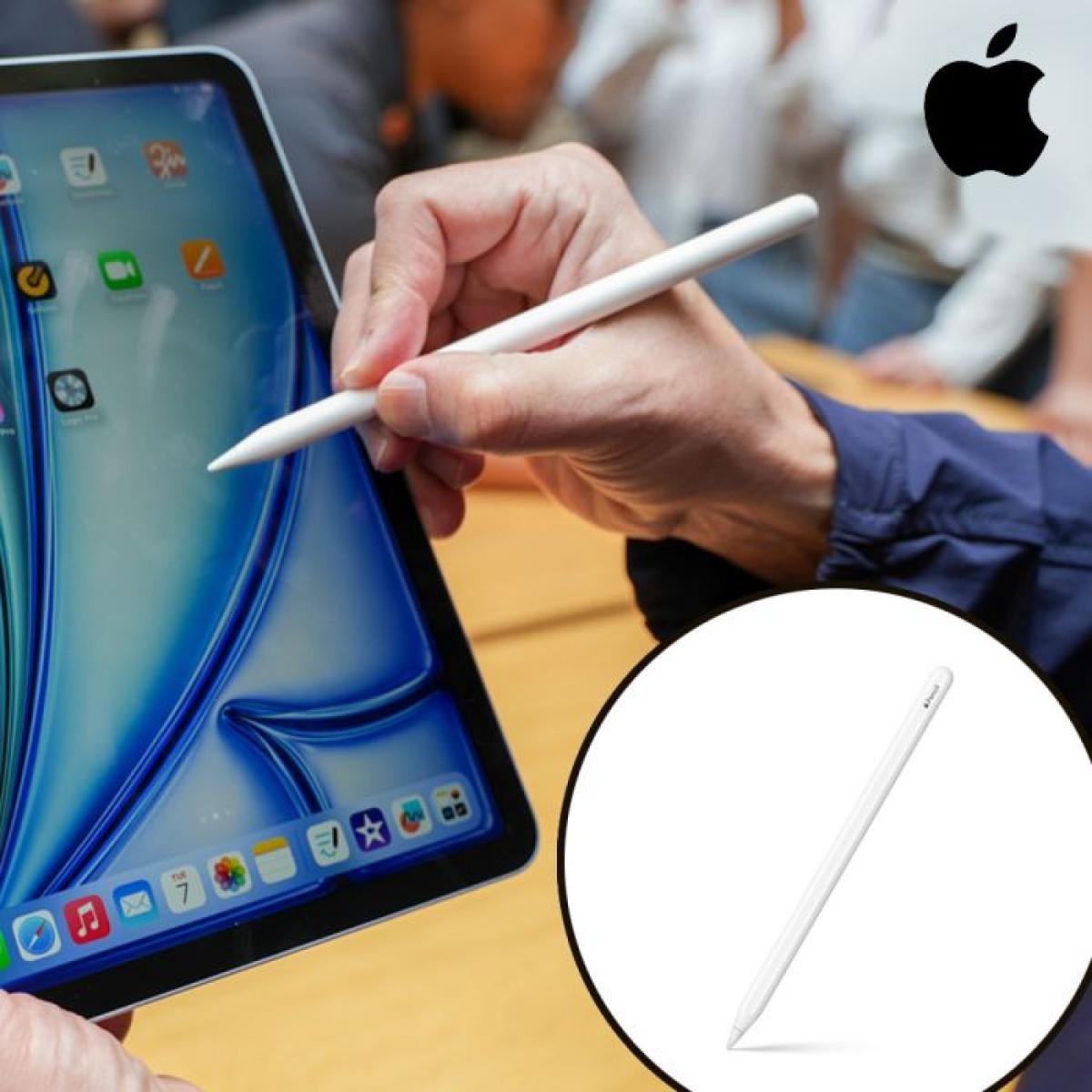 Apple electronics accessory for electronics hardware