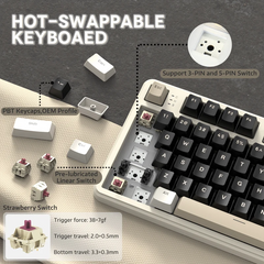 ATTACH SHARK X87 Triple-Mode: Bluetooth & 2.4 G & Type-C KEYBOARD CHEESE WHITE STRABERRY SWITCH