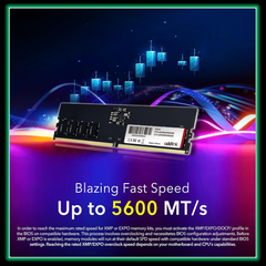 Addlink AddGame Spider P5 DDR5 RAM 16GB 5600MHz CL46 UDIMM 288-Pin 1.1V Single Rank Desktop Computer Memory