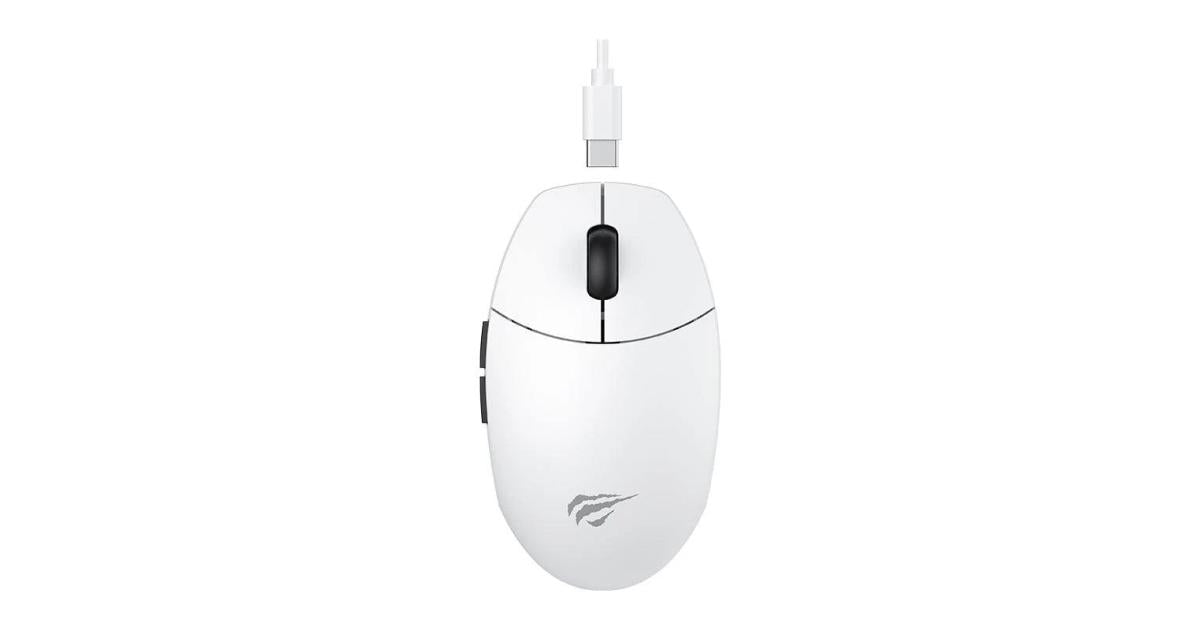 HAVIT MS1039W Dual-Mode Wireless Gaming Mouse HAVIT MS1039W Dual-Mode Wireless Gaming Mouse