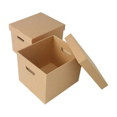 Archive Box File