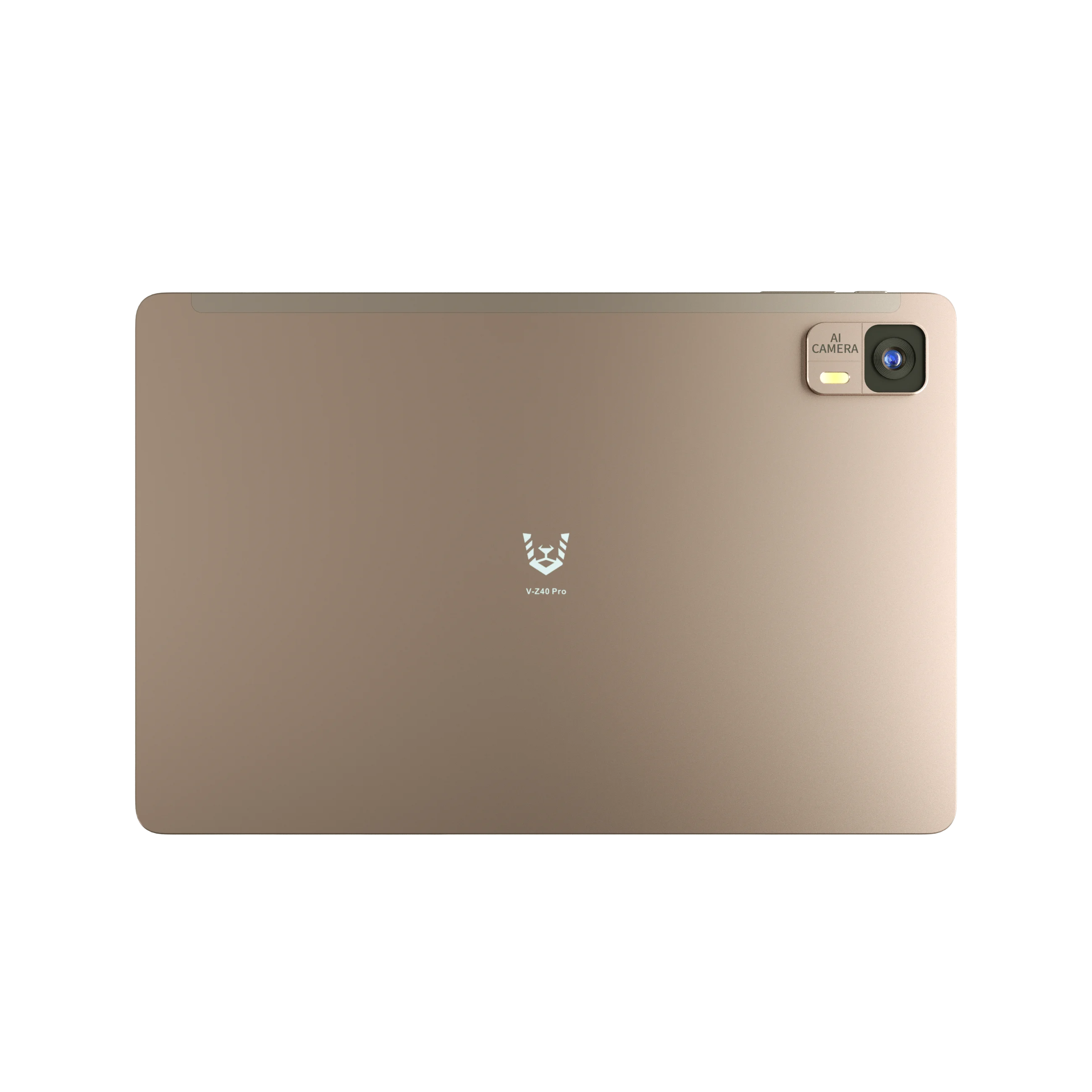 Vikusha memory module for desktop computer upgrades