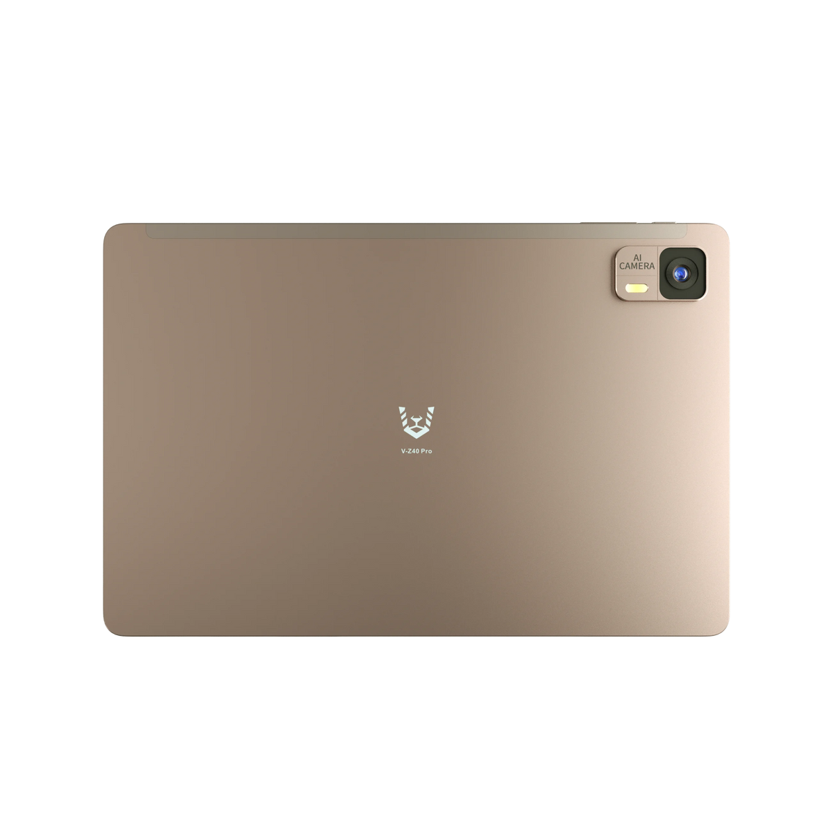 Vikusha memory module for desktop computer upgrades