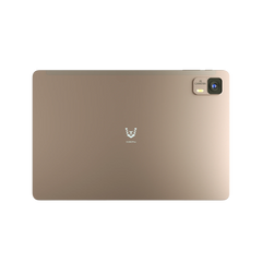 Vikusha memory module for desktop computer upgrades