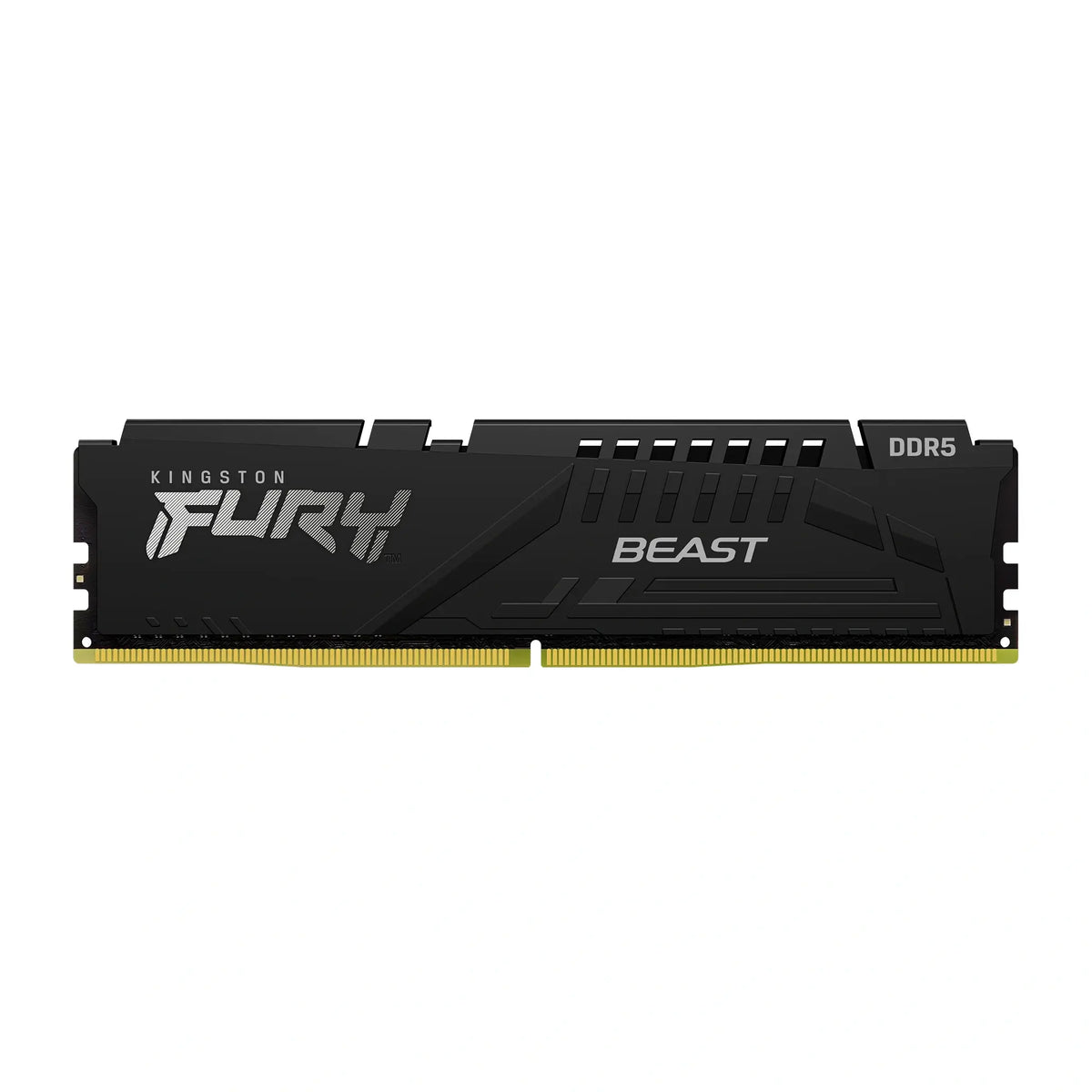Kingston FURY Beast 16GB DDR5 PC Ram