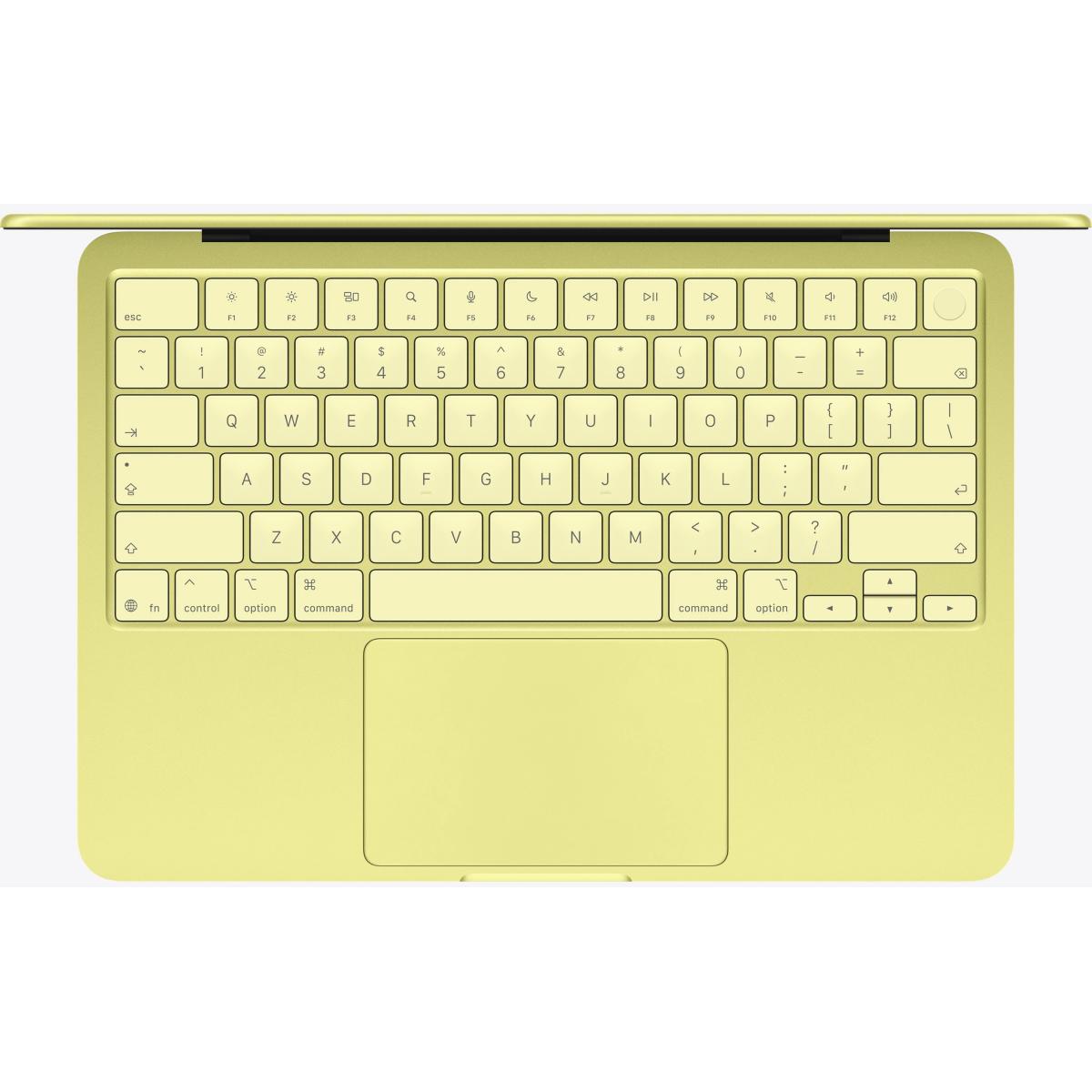 Apple laptop for portable computing
