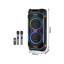 Ndr-822 Outdoor Portable Double 8 Inches Wireless Party Box Bluetooth Large