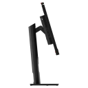 Lenovo monitor for display setup
