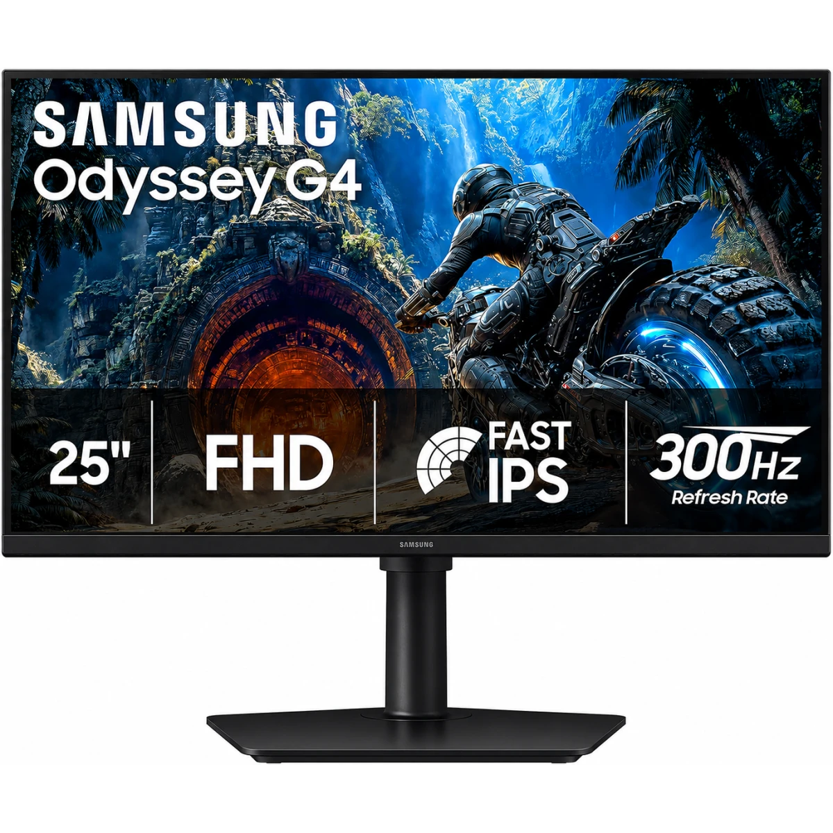 Samsung Odyssey G4 G40H 25-inch FHD 300Hz Fast IPS Gaming Monitor Black