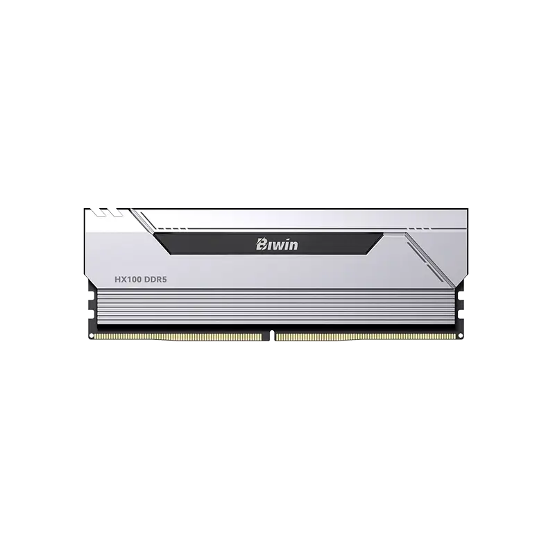 Biwin Opal memory module for desktop computer upgrades